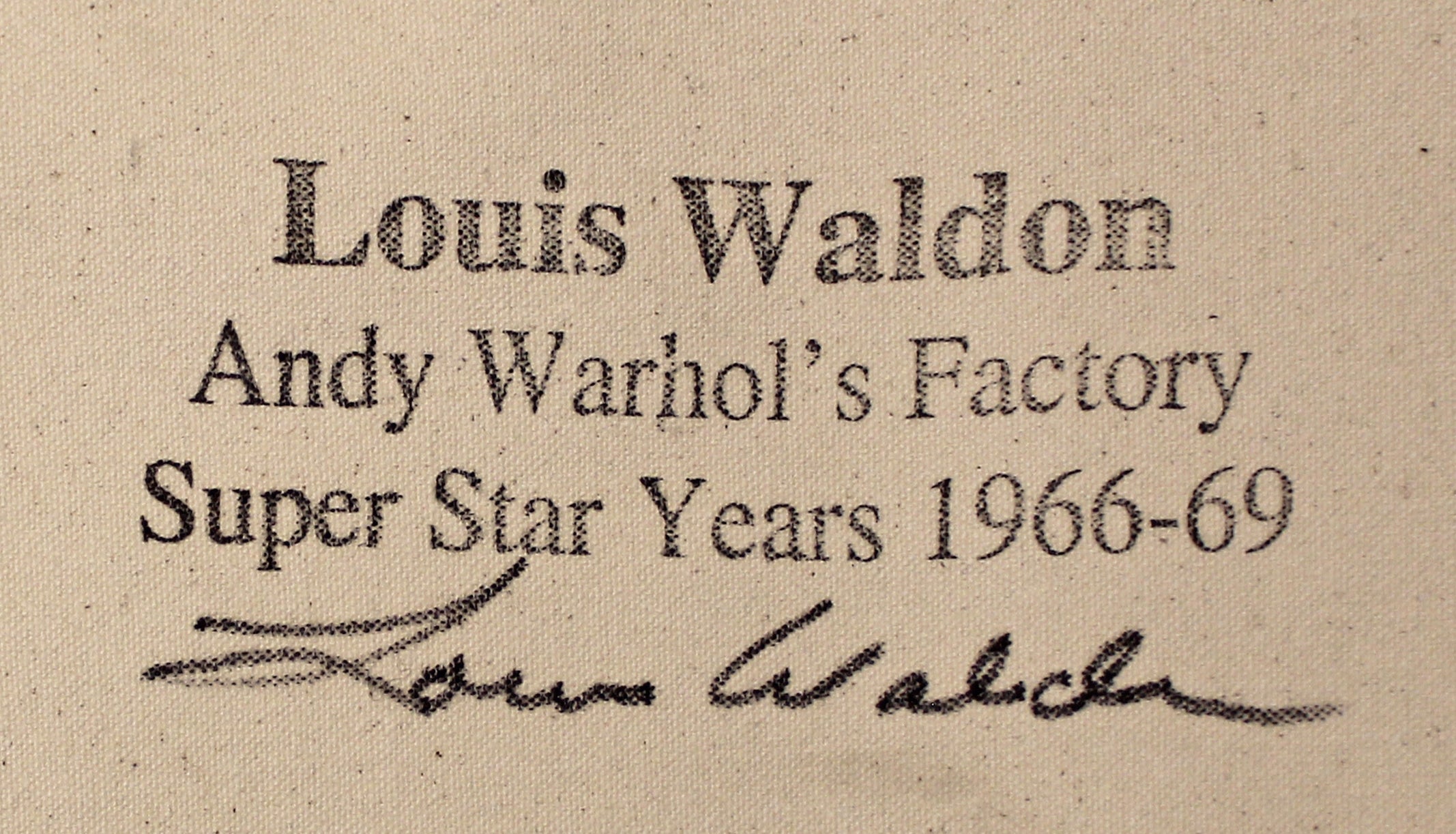 Fright Wig (Silver) - Canvas Print