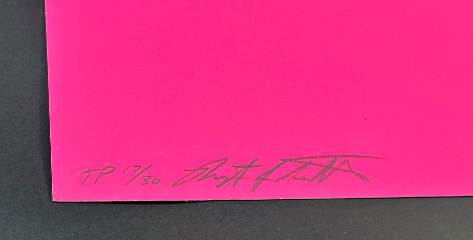 Nikon (Trial Proof), Screenprint