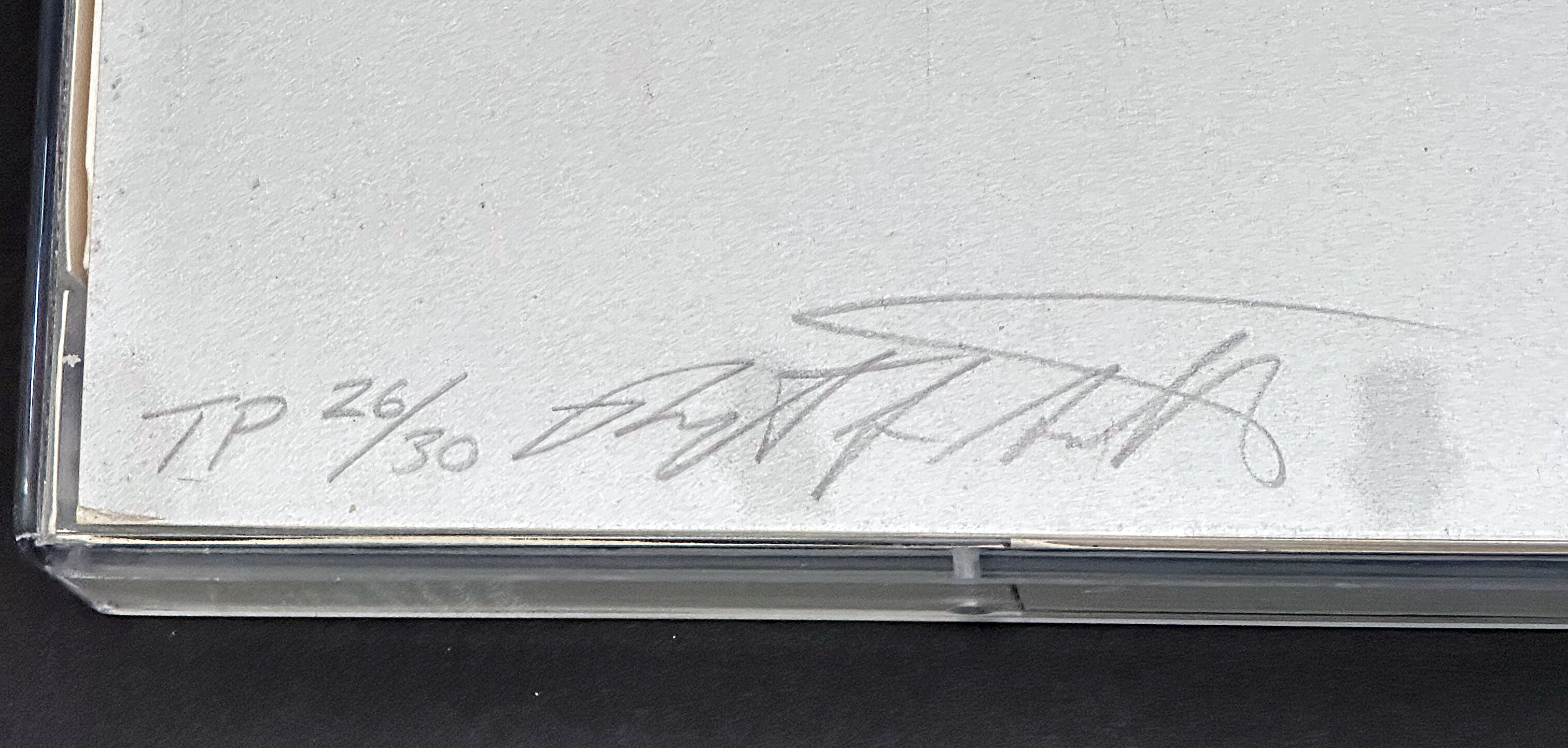 Nikon (Trial Proof), Screenprint