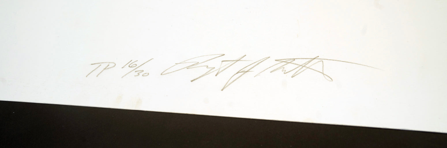 Shiseido (Trial Proof), Screenprint