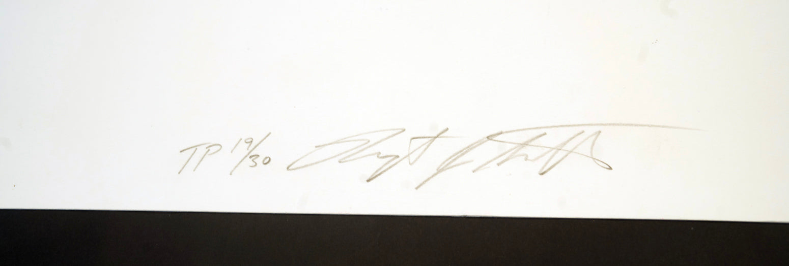 Shiseido (Trial Proof), Screenprint