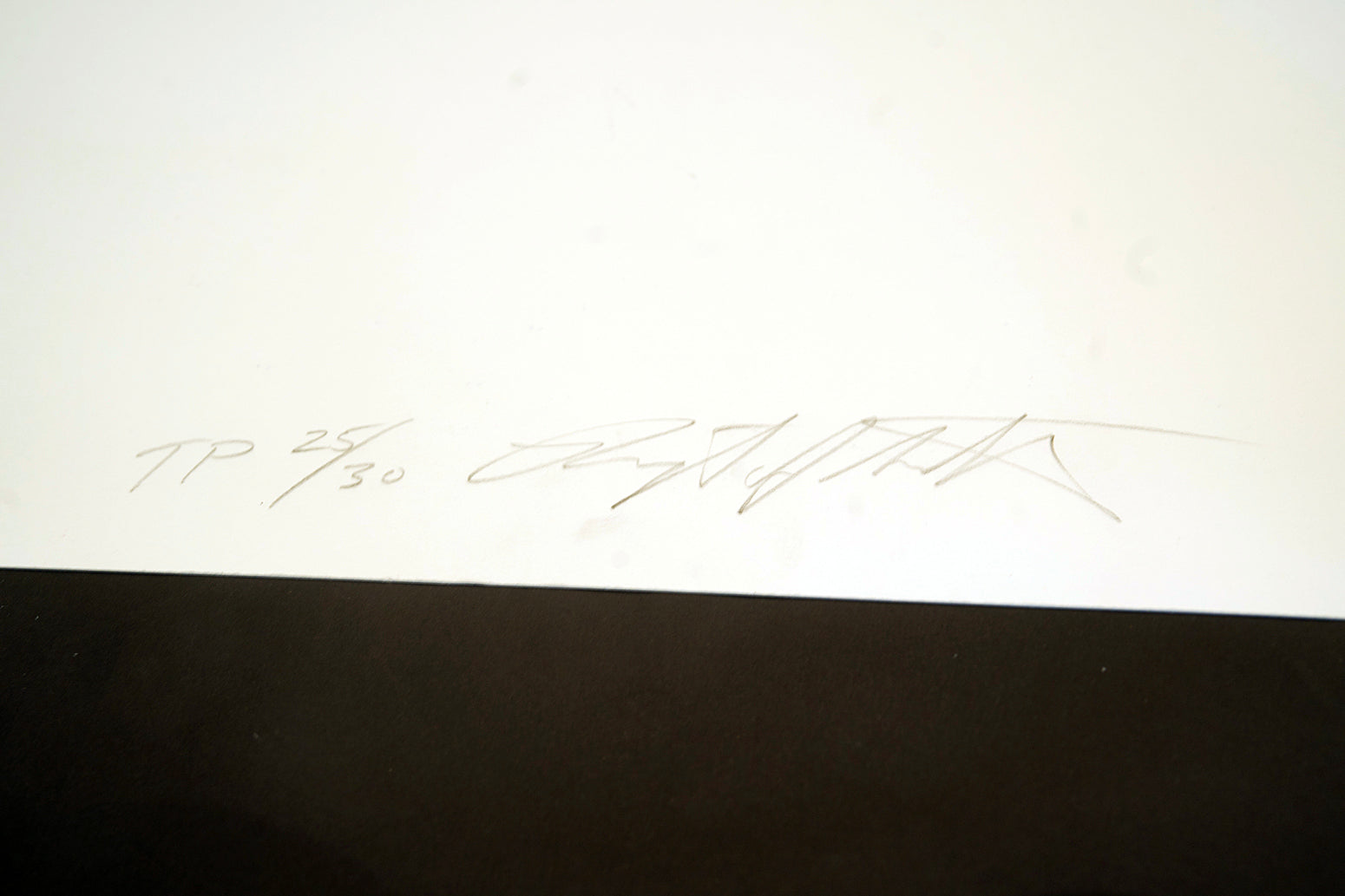 Shiseido (Trial Proof), Screenprint