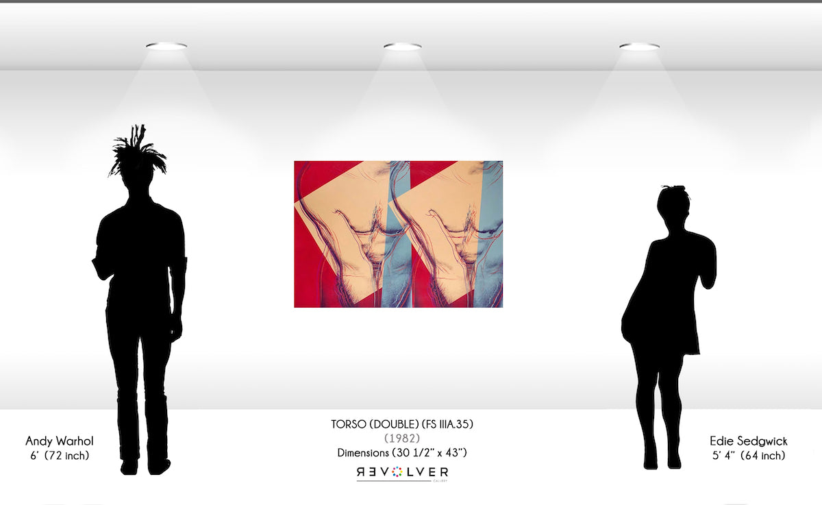 Andy Warhol - Torsos Double (FS IIIA.35)