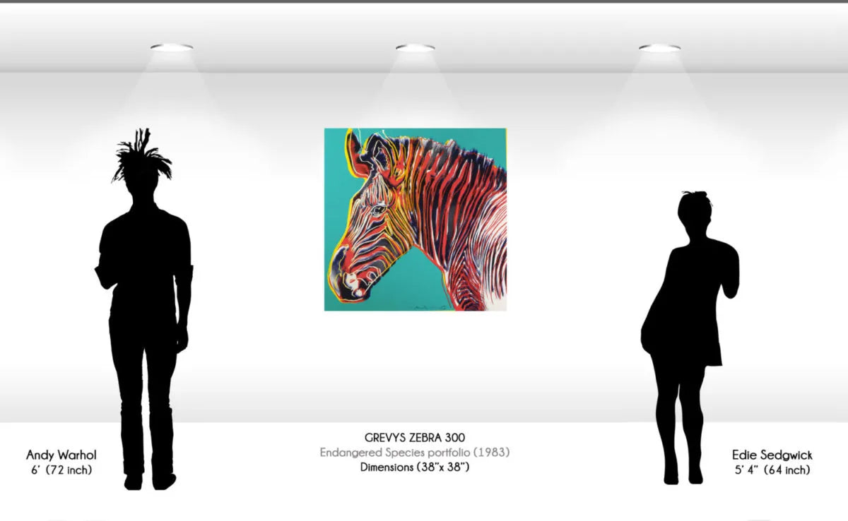 Andy Warhol - Grevy's Zebra (FS II.300)