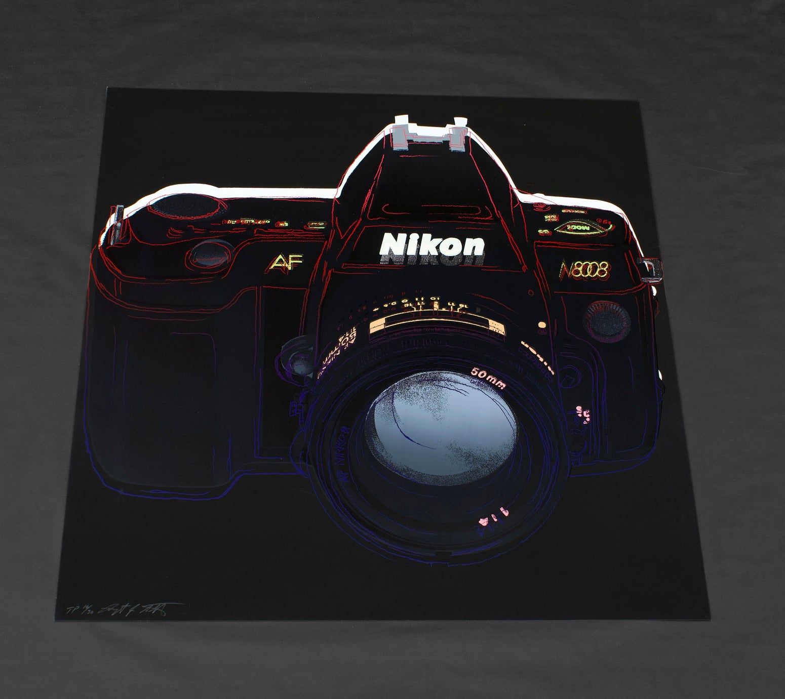 Nikon (Trial Proof)