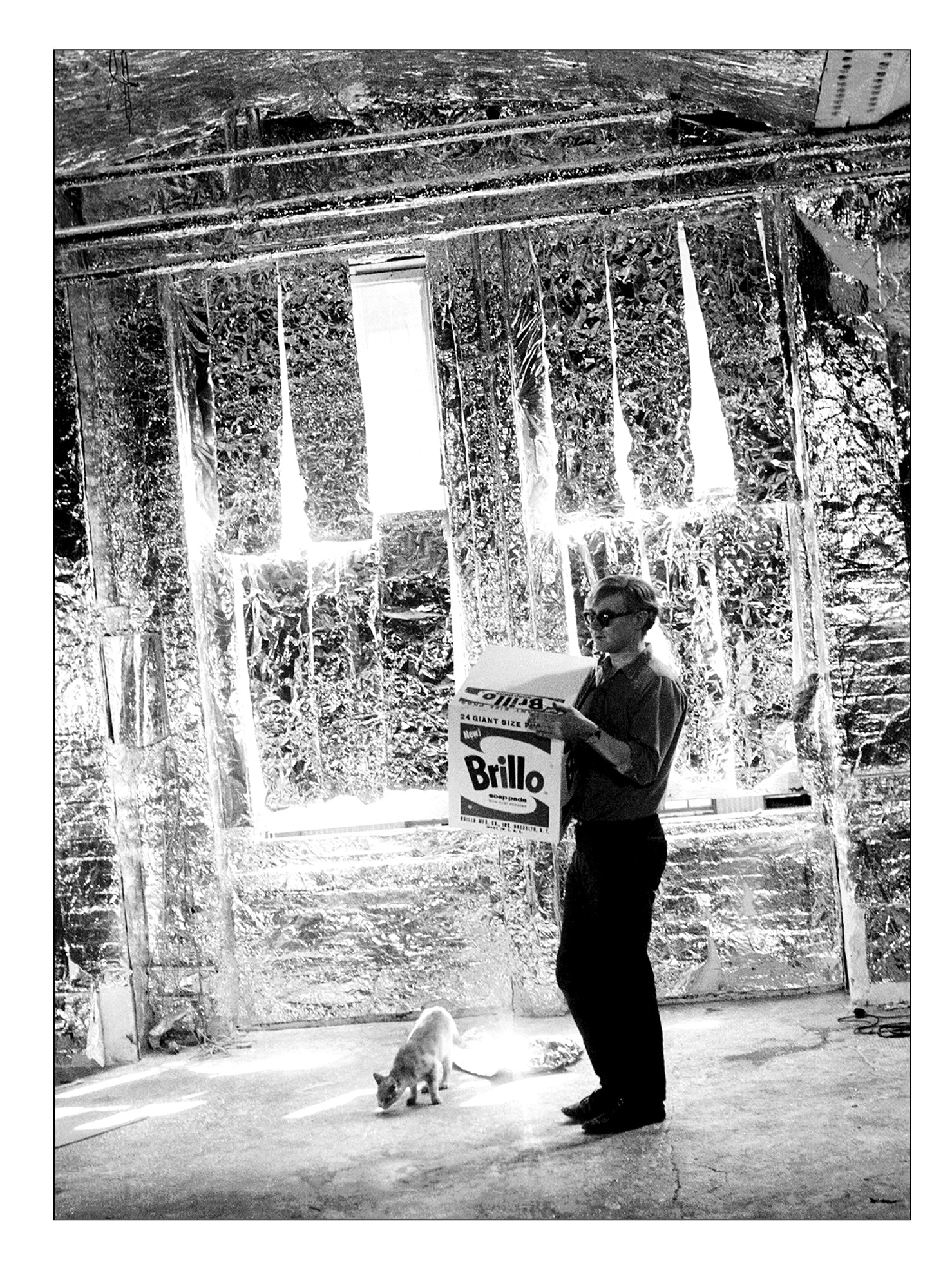 Andy Warhol with Brillo Box Sculpture and Ruby the Cat, 1964